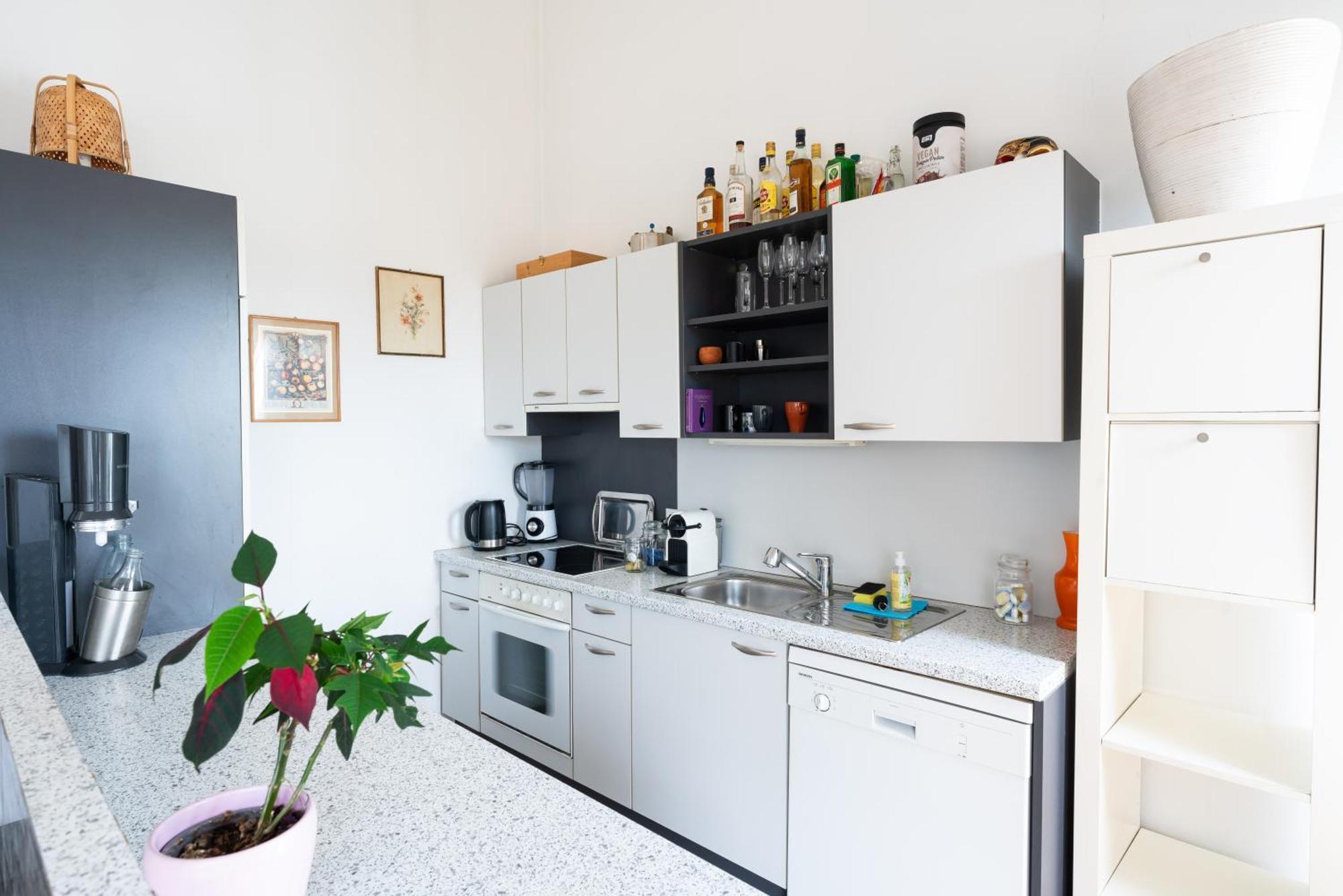 City Paradise Apartamento